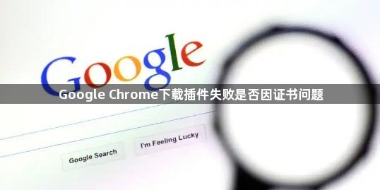 Google Chrome下载插件失败是否因证书问题1