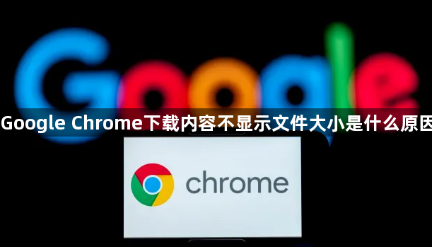 Google Chrome下载内容不显示文件大小是什么原因1