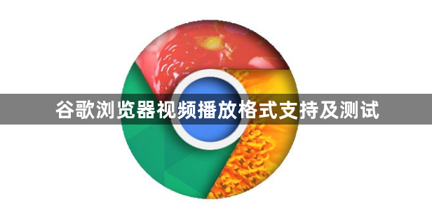 谷歌浏览器视频播放格式支持及测试1