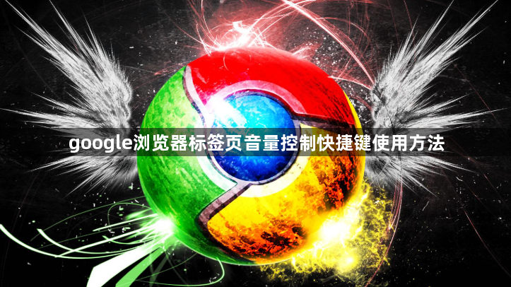 google浏览器标签页音量控制快捷键使用方法1