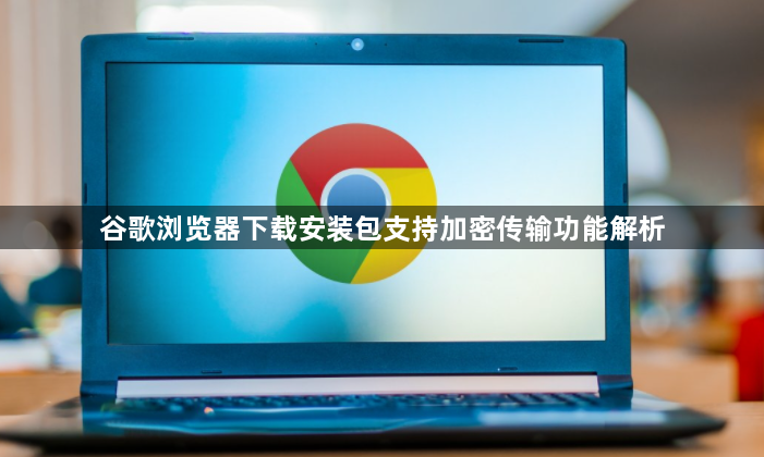 谷歌浏览器下载安装包支持加密传输功能解析1