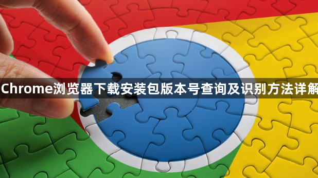 Chrome浏览器下载安装包版本号查询及识别方法详解1