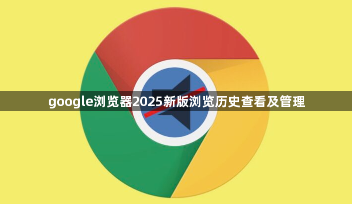 google浏览器2025新版浏览历史查看及管理1