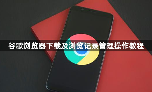 谷歌浏览器下载及浏览记录管理操作教程1