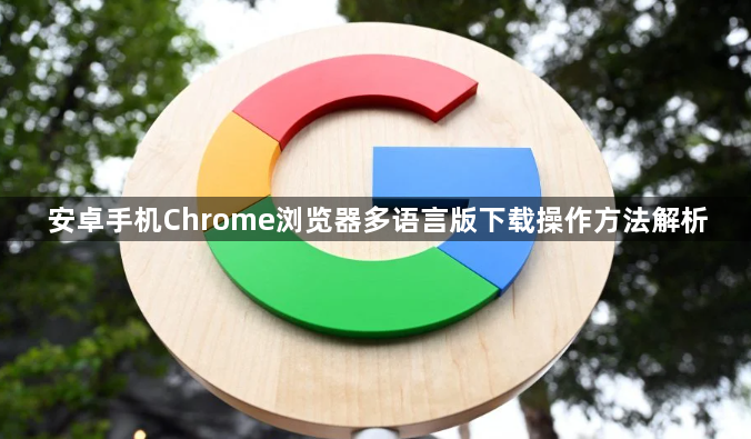 安卓手机Chrome浏览器多语言版下载操作方法解析1