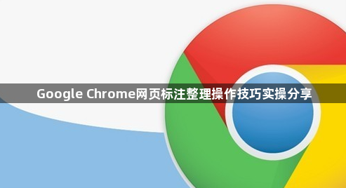 Google Chrome网页标注整理操作技巧实操分享1