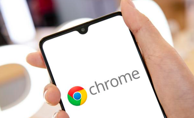 Chrome浏览器专业版下载安装指南