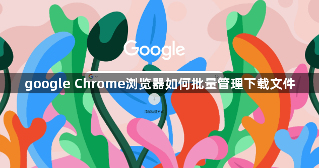 google Chrome浏览器如何批量管理下载文件1