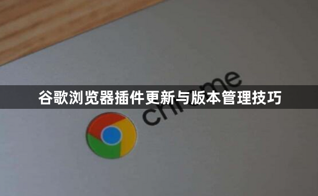 谷歌浏览器插件更新与版本管理技巧1