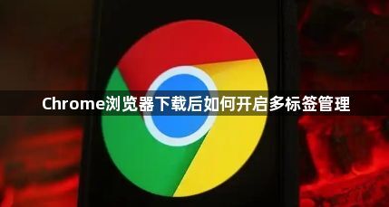 Chrome浏览器下载后如何开启多标签管理1