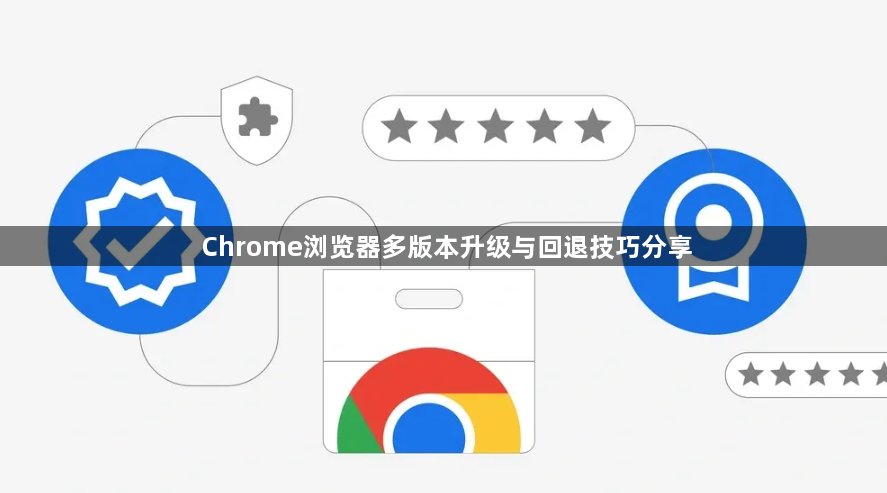 Chrome浏览器多版本升级与回退技巧分享1