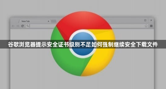 谷歌浏览器提示安全证书级别不足如何强制继续安全下载文件1