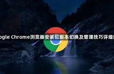 google Chrome浏览器安装包版本切换及管理技巧详细解析1