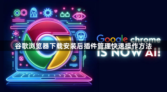 谷歌浏览器下载安装后插件管理快速操作方法1